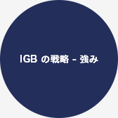 IGB の戦略 ‐ 強み
