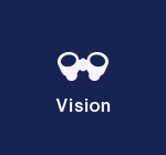 Vision