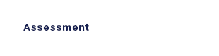 Assessment